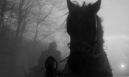 Turin Horse