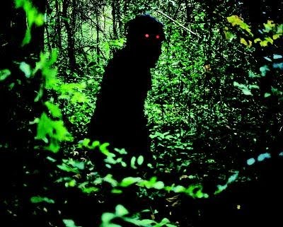 uncle-boonmee-who-can-recall-his-past-lives-de-apichatpong-weerasethakul-4609839jbvgm