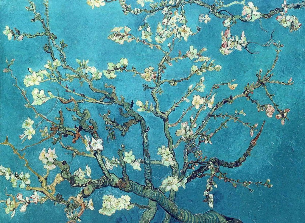 VGbranches-with-almond-blossom-1890(1)